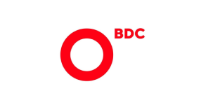 6. BDC Consulting