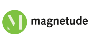 6. Magnetude Consulting