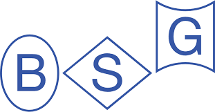 23. Berezha Security Group (BSG)