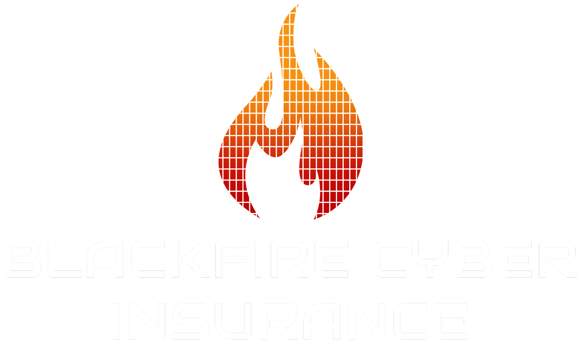 11. BlackFire Cyber Insurance