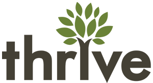 13. Thrive Internet Marketing Agency