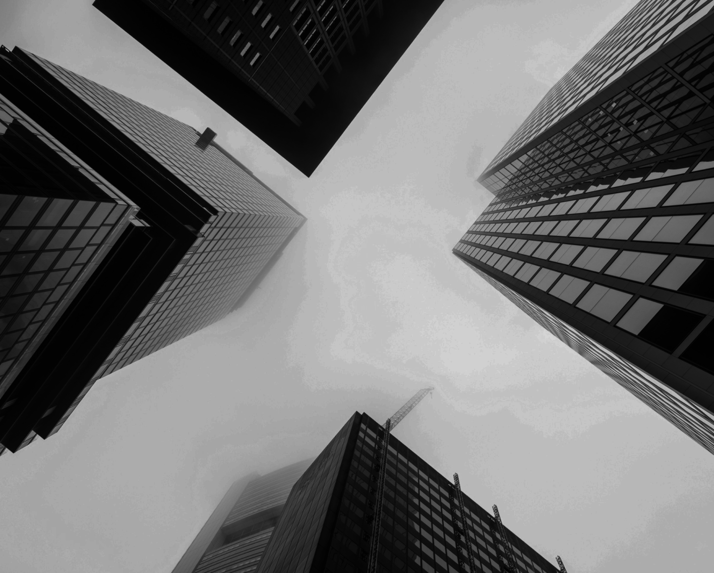 Erhöhen Sie Ihre Online-Präsenz mit Amerikas führenden SEO-Gurus