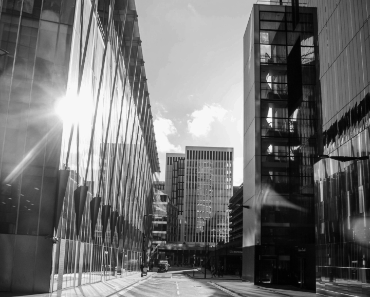 Leading SEO Firms in Canada