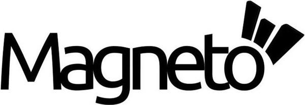 14. ماجنيتو لحلول تكنولوجيا المعلومات