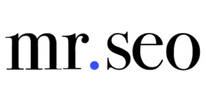 18. Mr SEO