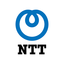 8. NTT DATA