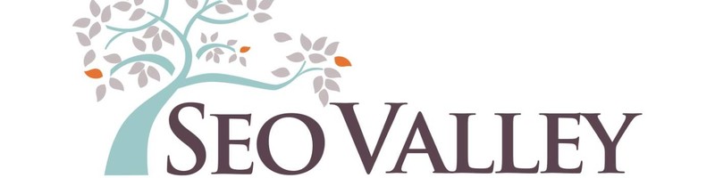 20. حلول تحسين محركات البحث SEOValley