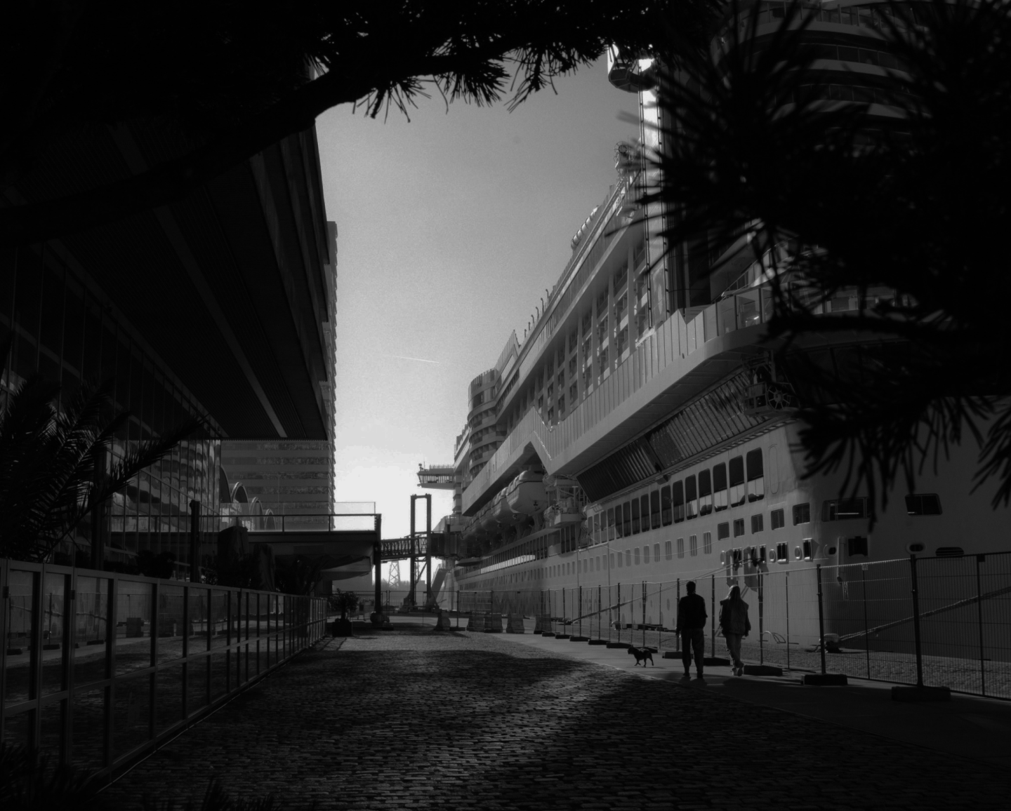 Top Startups Link Building Companies - banner