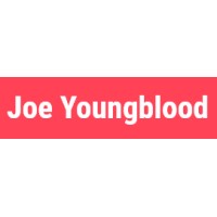 3. Joe Youngblood SEO