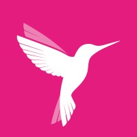 4. الطيور عبر الإنترنت