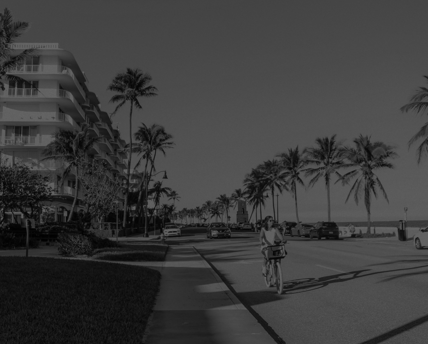 Find the Top PPC Agencies in Palm Beach County for Your Business