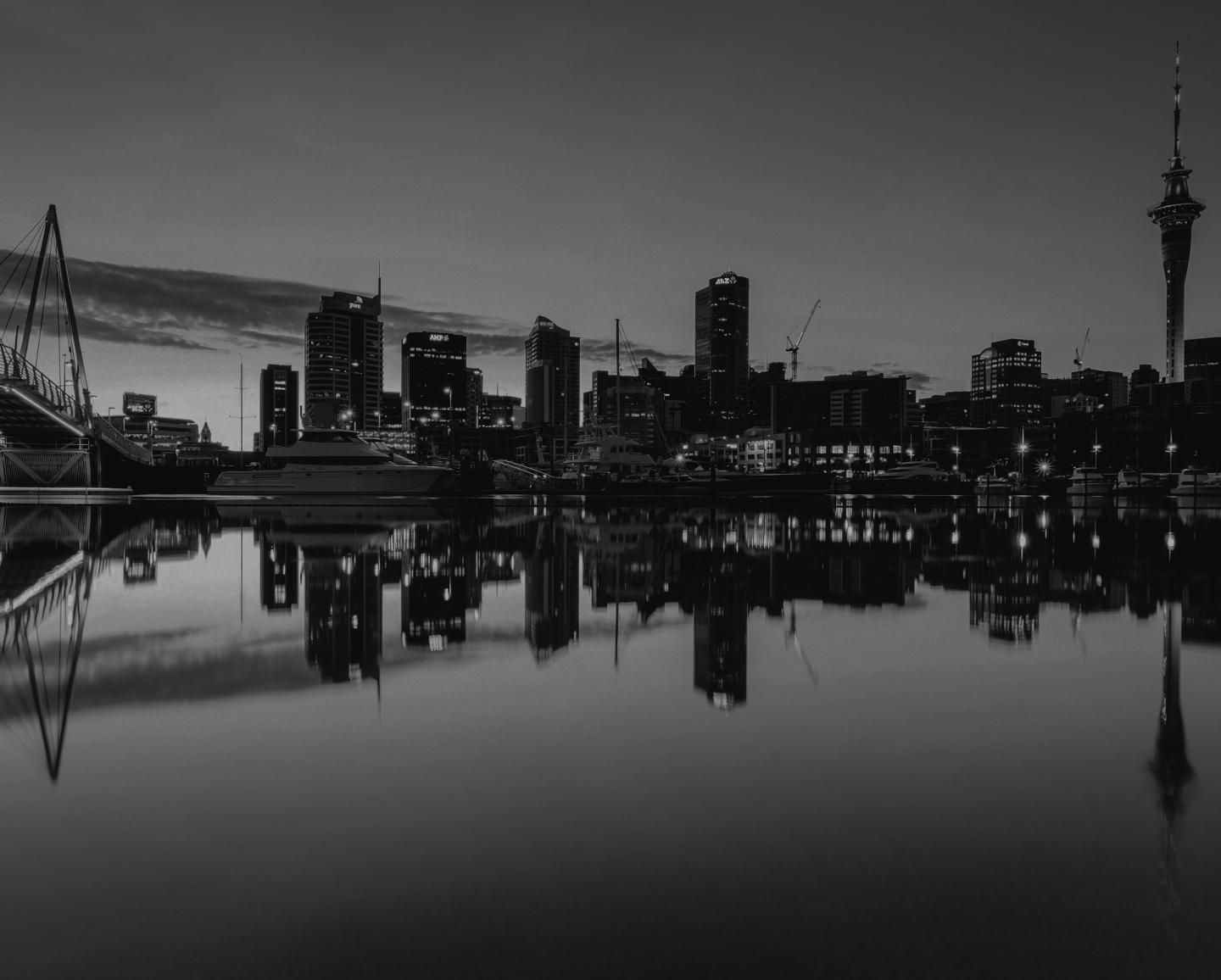 Best PPC Agencies in New Zealand to Boost Your ROI