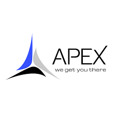 2. Apex Infotech India