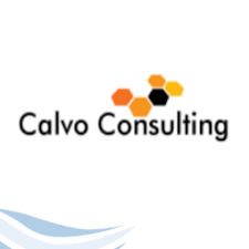 12. كالفو للاستشارات