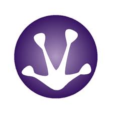 6. Purple Frog Digital