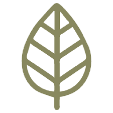 11. AD Leaf Marketing