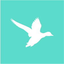 2. أوبتيكس سوليوشنز