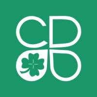 4. CleverDev Software