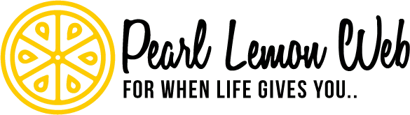 3. خدمات تطوير الويب PL