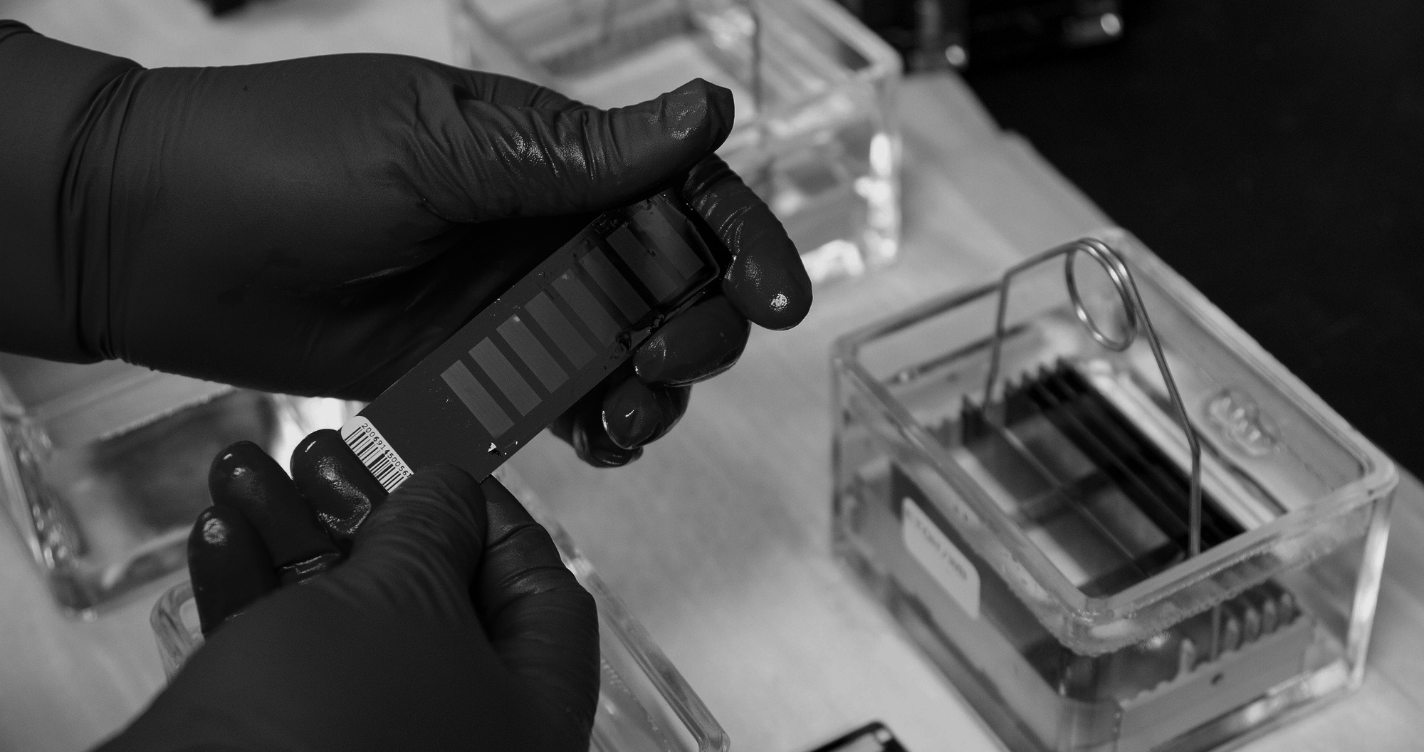 Top AI Search Optimization (AISO) Agencies for Biotech Businesses