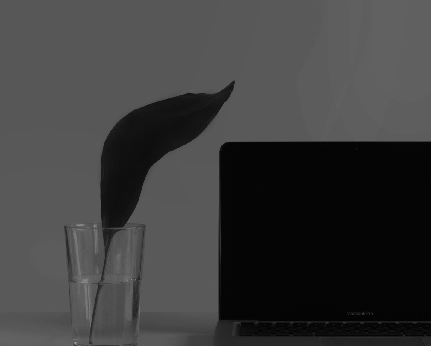 Best Custom Financial Software Development Companies in the USA