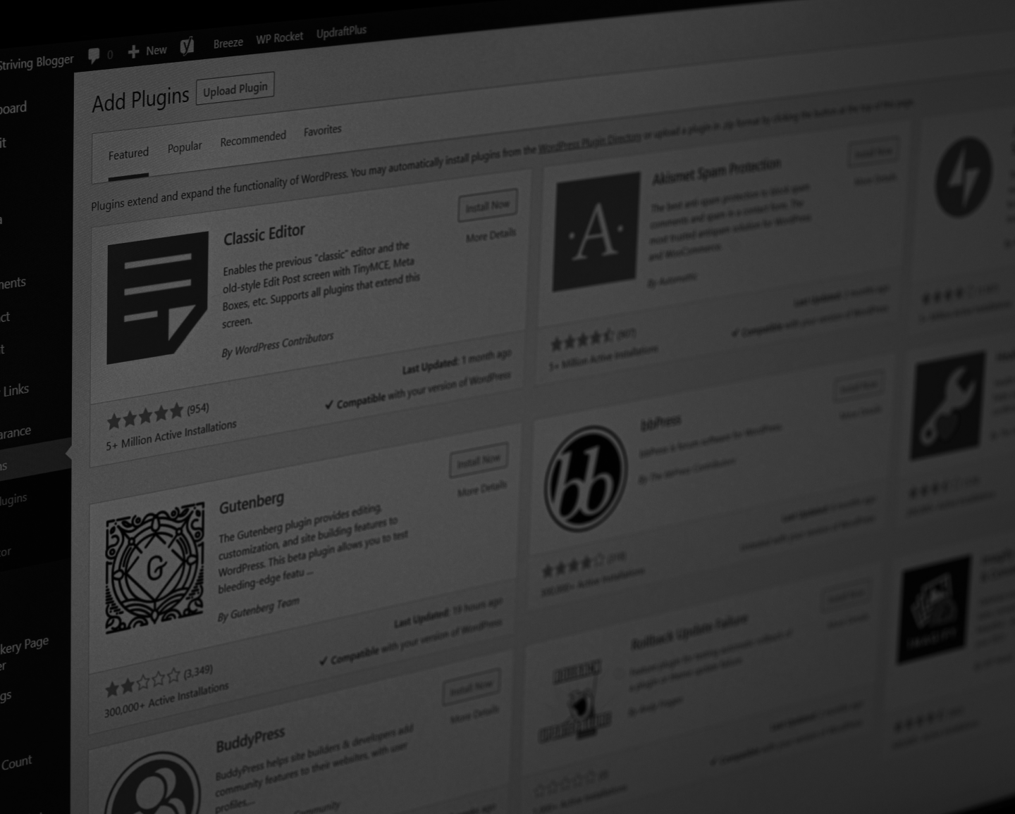 Top WordPress Theme Development Companies in the USA
