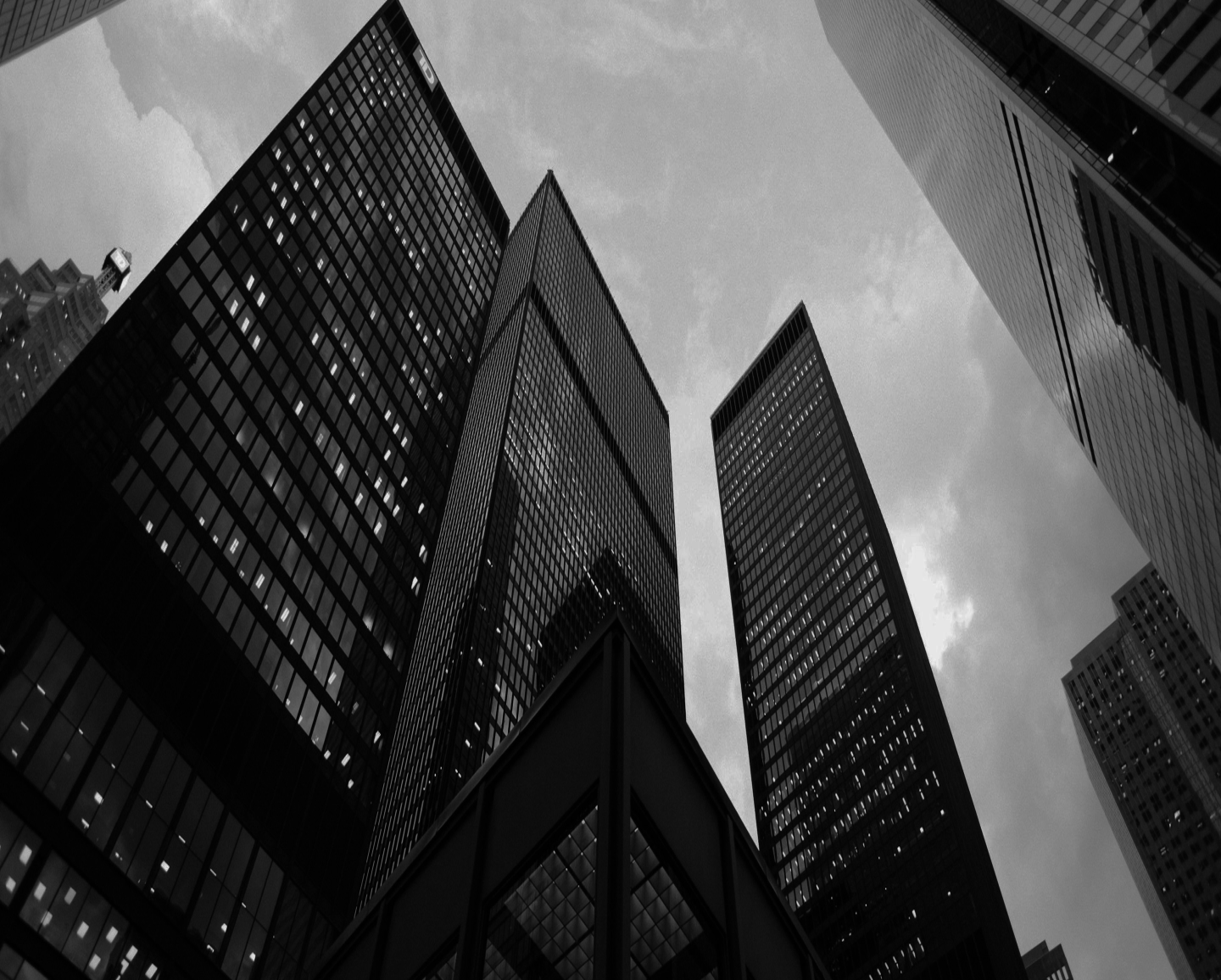 Leading Custom Healthcare Software Development Companies USA