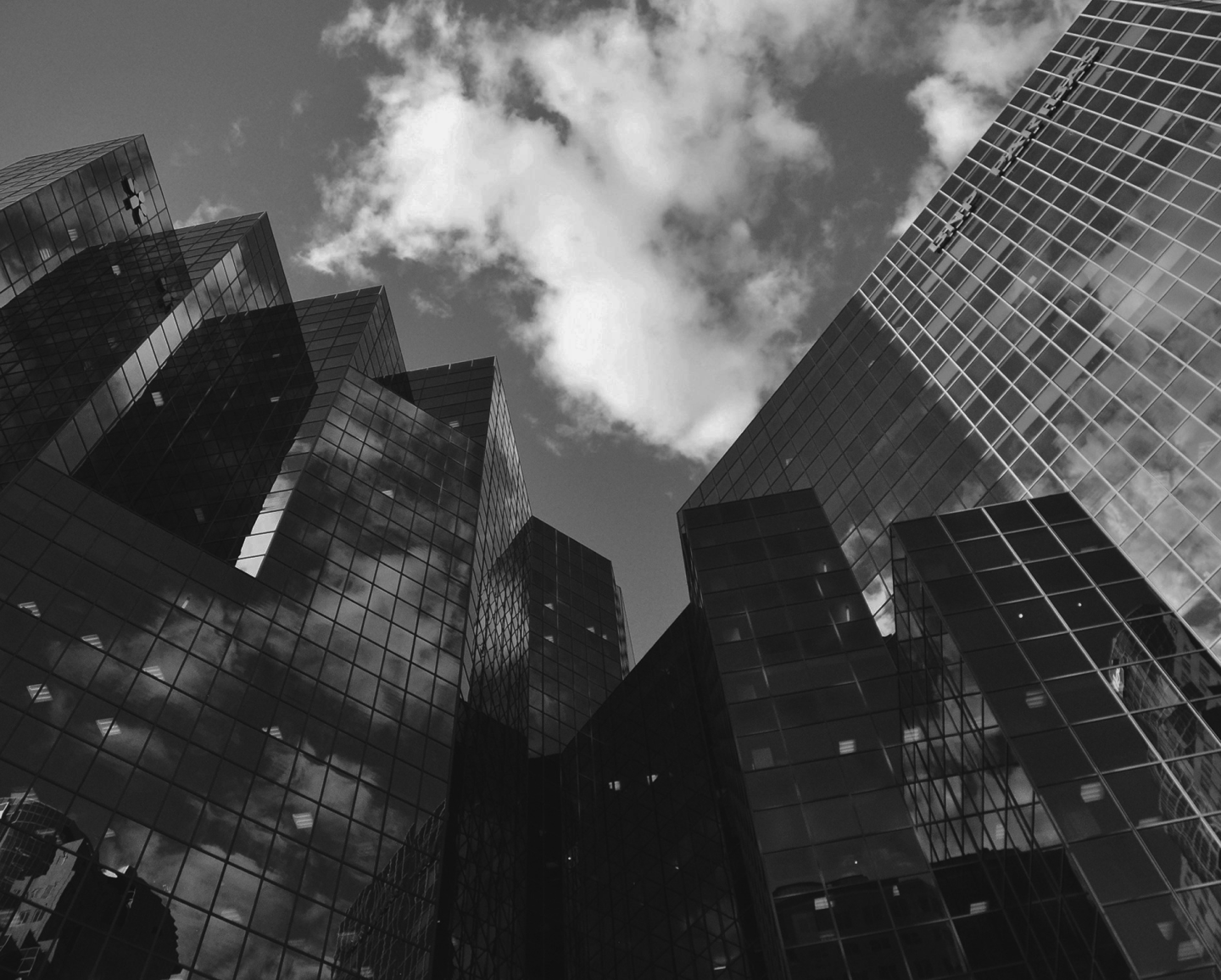 UAE Google Ads Agencies Trusted by Leading Brands