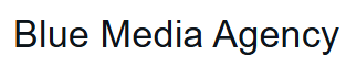 4. Blue Media Marketing Agentur