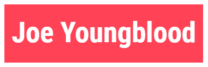 3. Joe Youngblood SEO & Digital Marketing Consulting