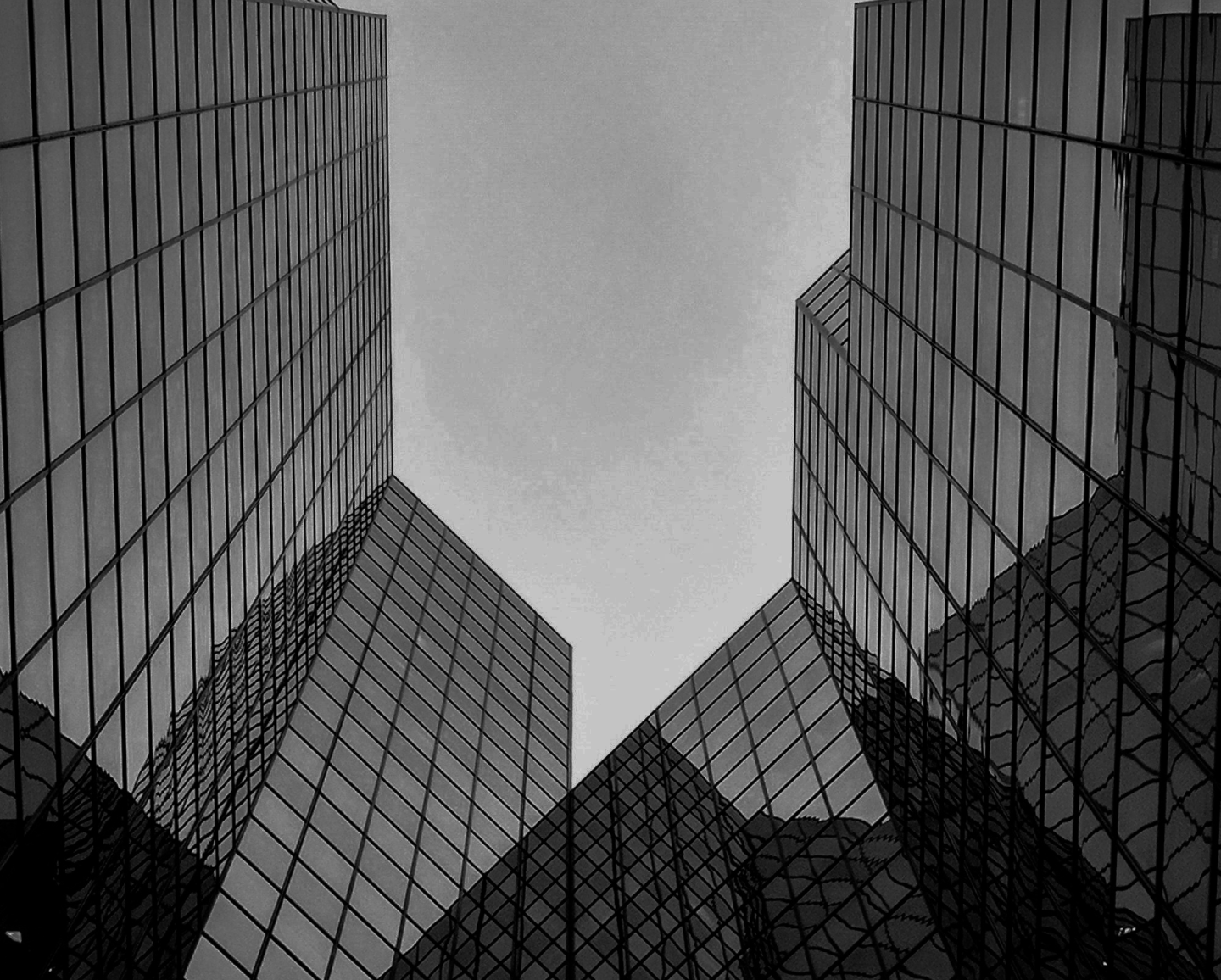 Answer Engine Optimization Companies: What You Need to Know