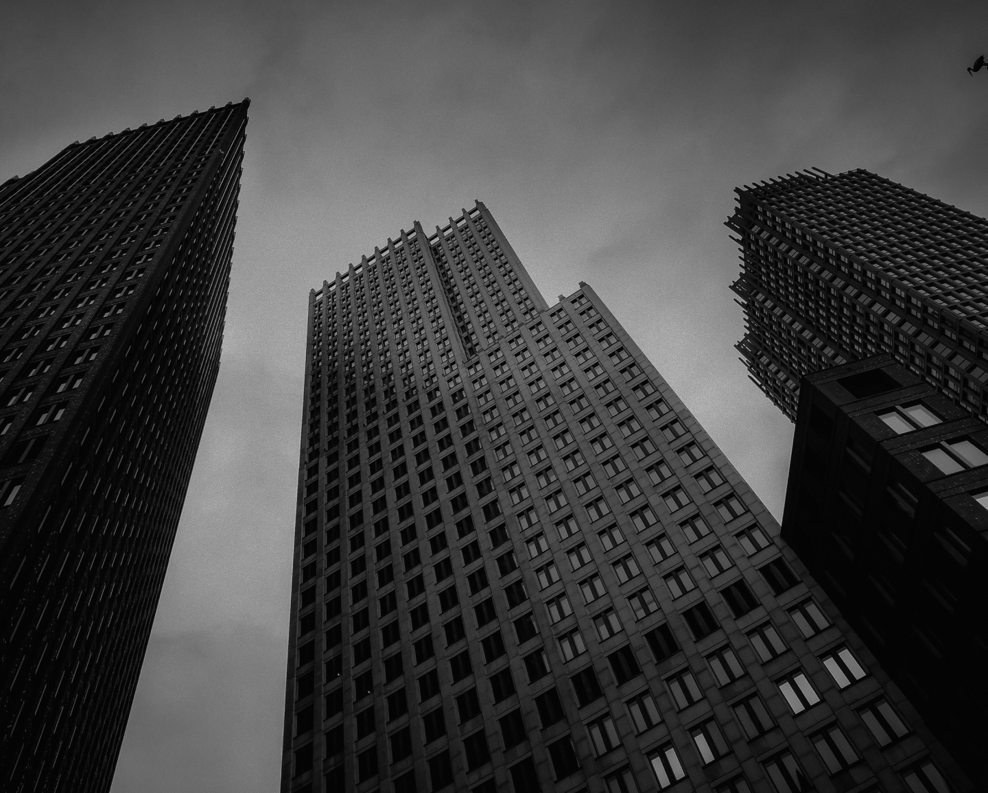 Expert Google Ads Agencies in the US Trusted by Ambitious Brands