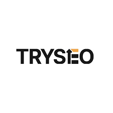 2. TRYSEO