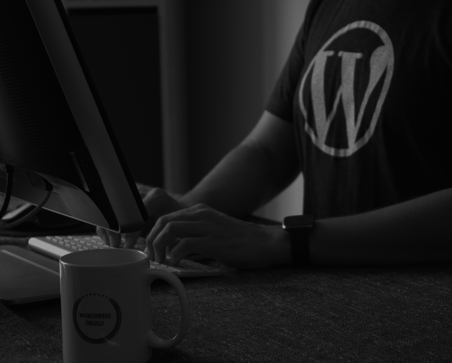 Leading WordPress Theme Developers Across the UK
