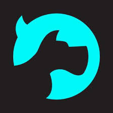 5. Ontwerp Hondshaai