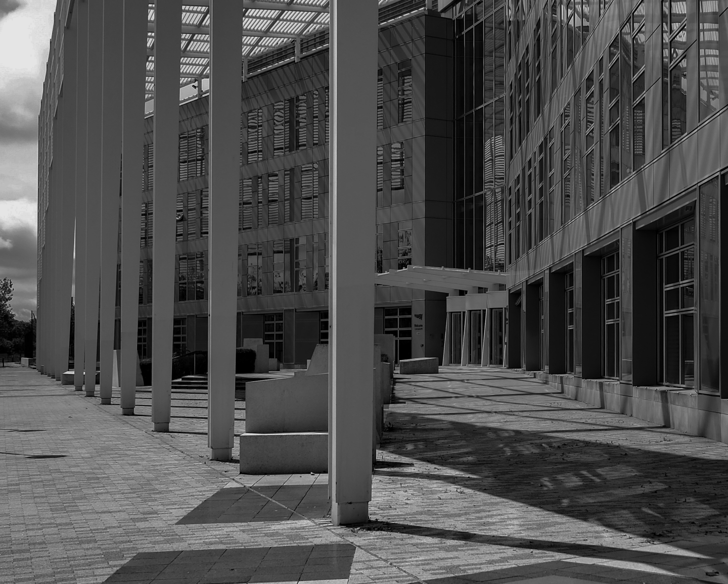 Sheffields Top-Unternehmen bei AEO-, GEO- und LLMO-Innovationen