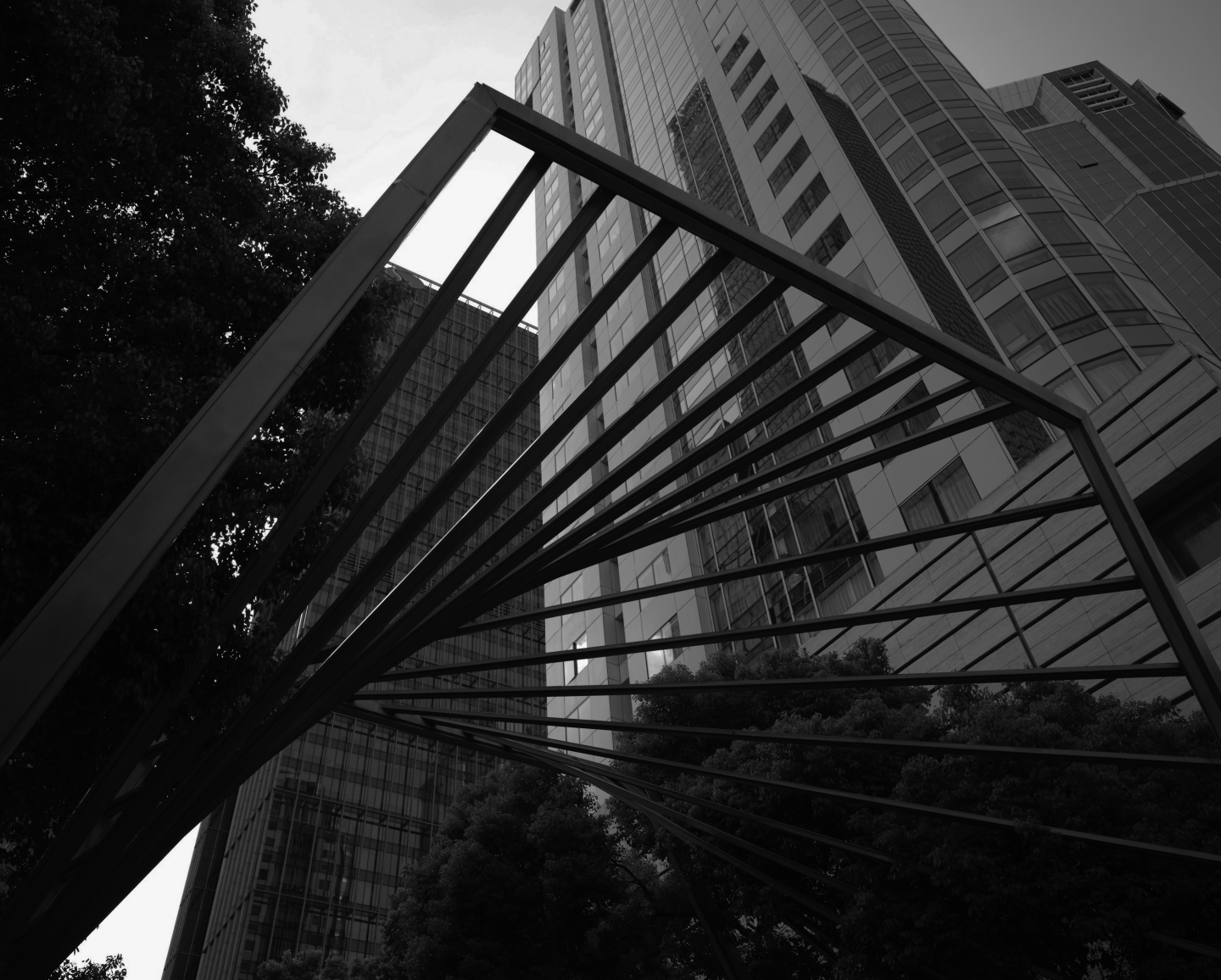 أفضل شركات AEO, GEO & LLMO في بريسبان، أستراليا