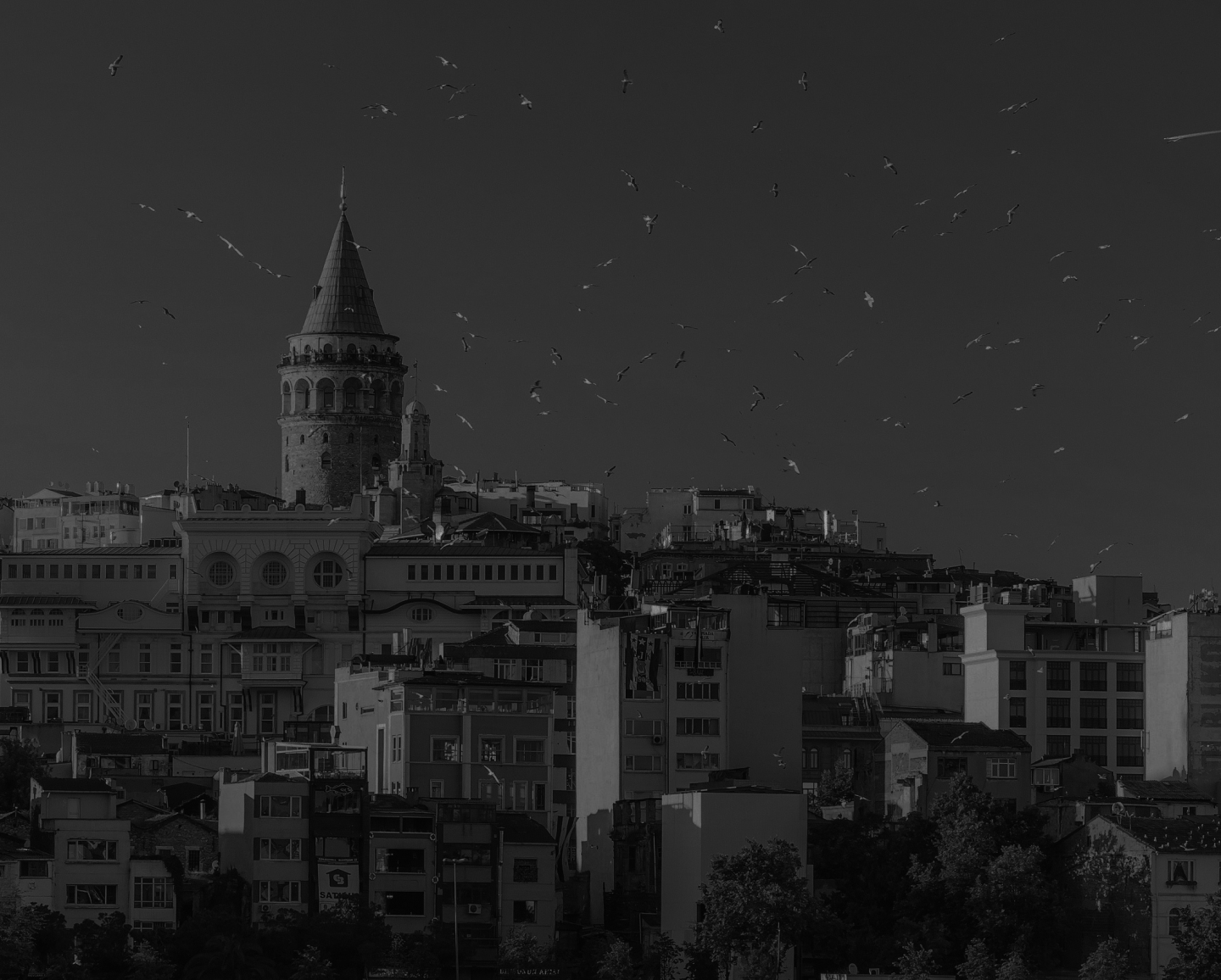 Navigating AEO, GEO, and LLMO Companies in Istanbul, Turkey