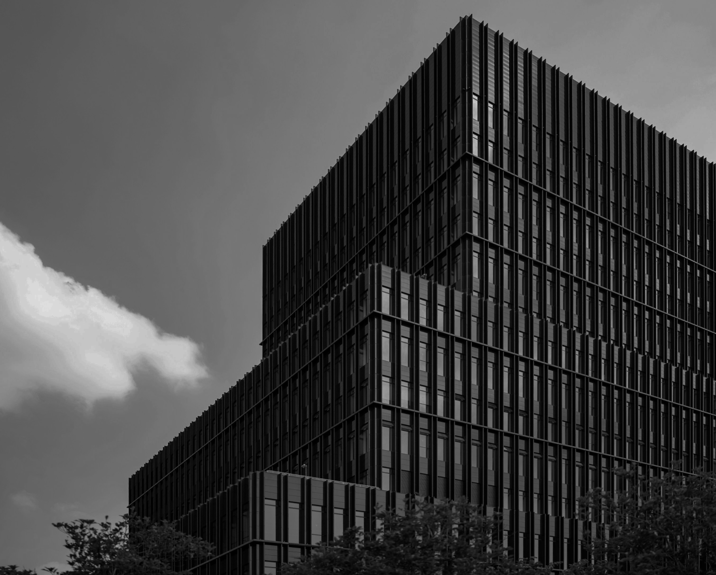 Beste AEO-, GEO- en LLMO-bedrijven in Perth, Australië