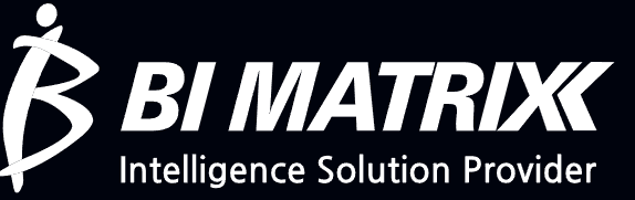 3. BI MATRIX