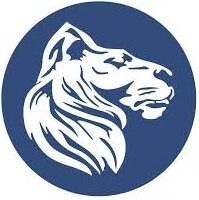 4. Löwenstark Online Marketing GmbH