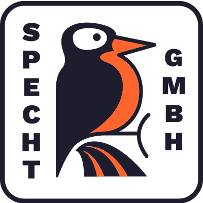 2. Timo Specht GEO Agentur