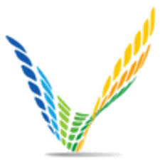 2. Verti Group International