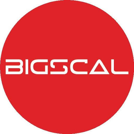 16. Bigscal Technologies