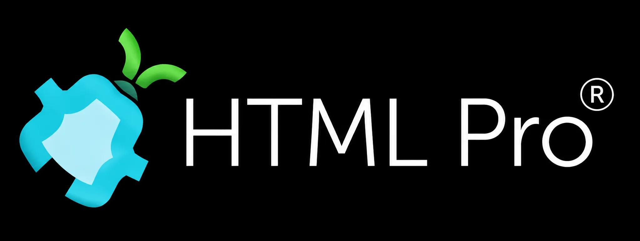 16. HTML Pro