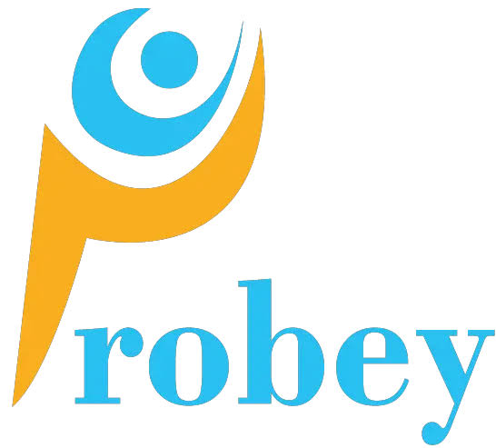 9. Probey-Dienstleistungen