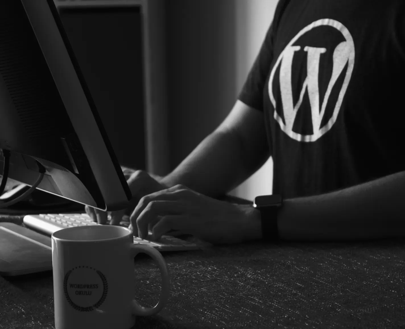 15 Best WordPress Web Design Companies in USA (2026)