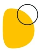 Designity