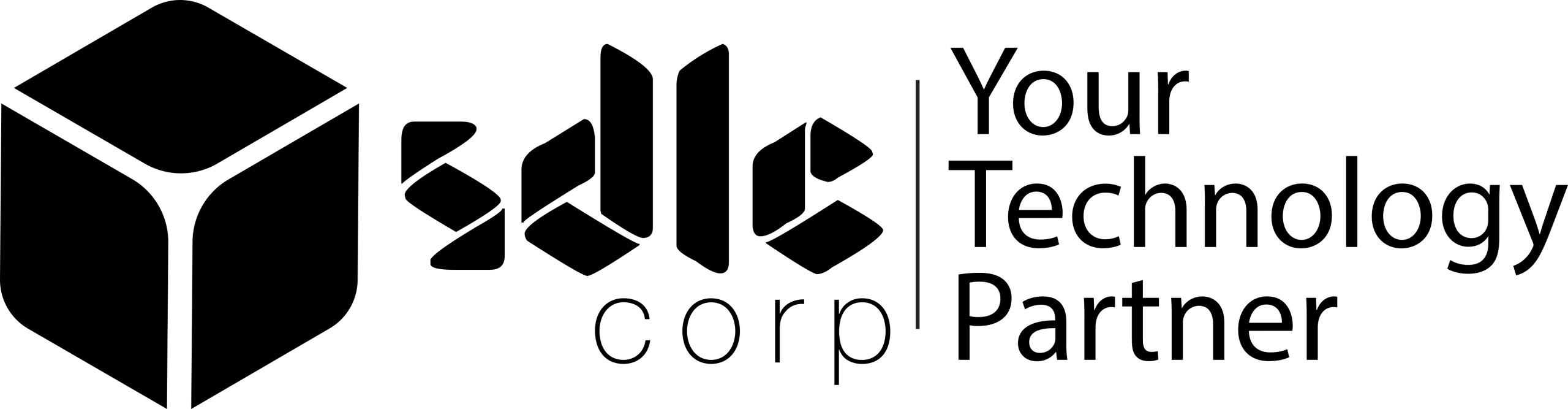 8. SDLC Corp