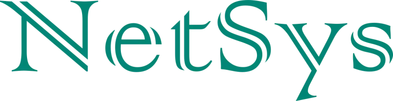 4. NetSys